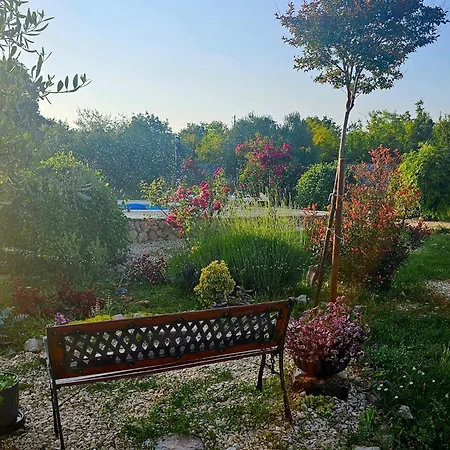 Neva With Private Pool And Game * Donje Vinovo