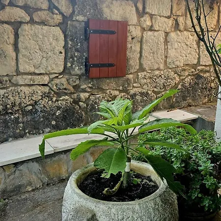 Casa vacanze Neva With Private Pool And Game *