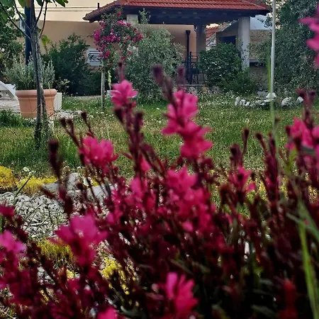 Neva With Private Pool And Game בית נופש