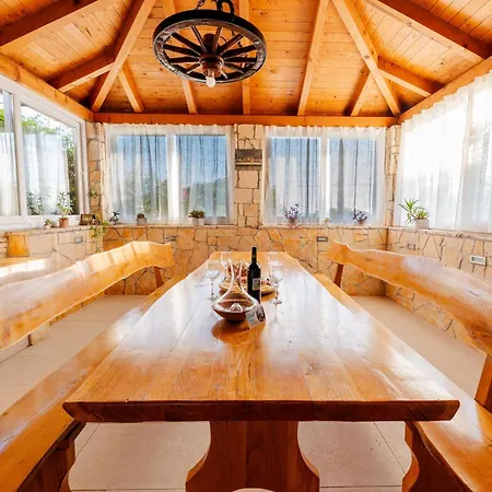 Neva With Private Pool And Game * Donje Vinovo