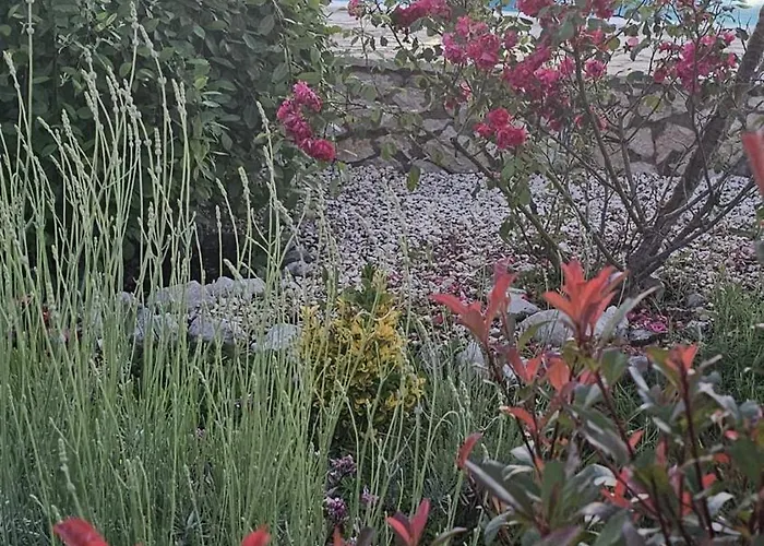 Vakantiehuis Neva With Private Pool And Game