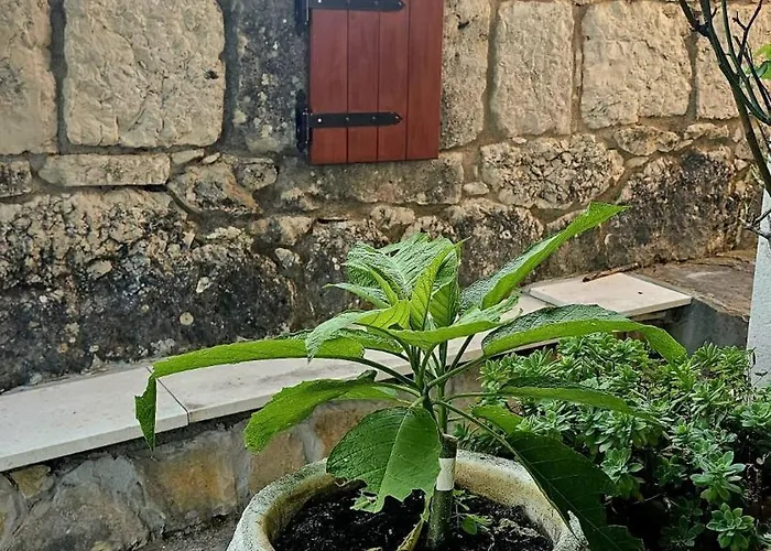 Vakantiehuis Neva With Private Pool And Game *