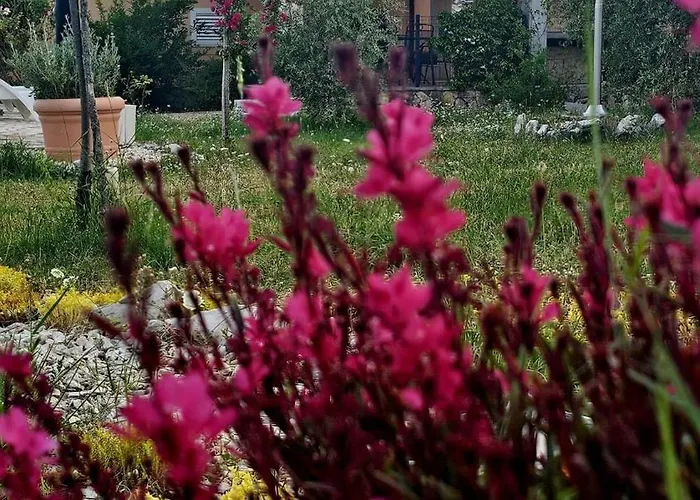 Neva With Private Pool And Game 펜션